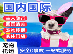 查干湖机场快运国际宠物托运 【国